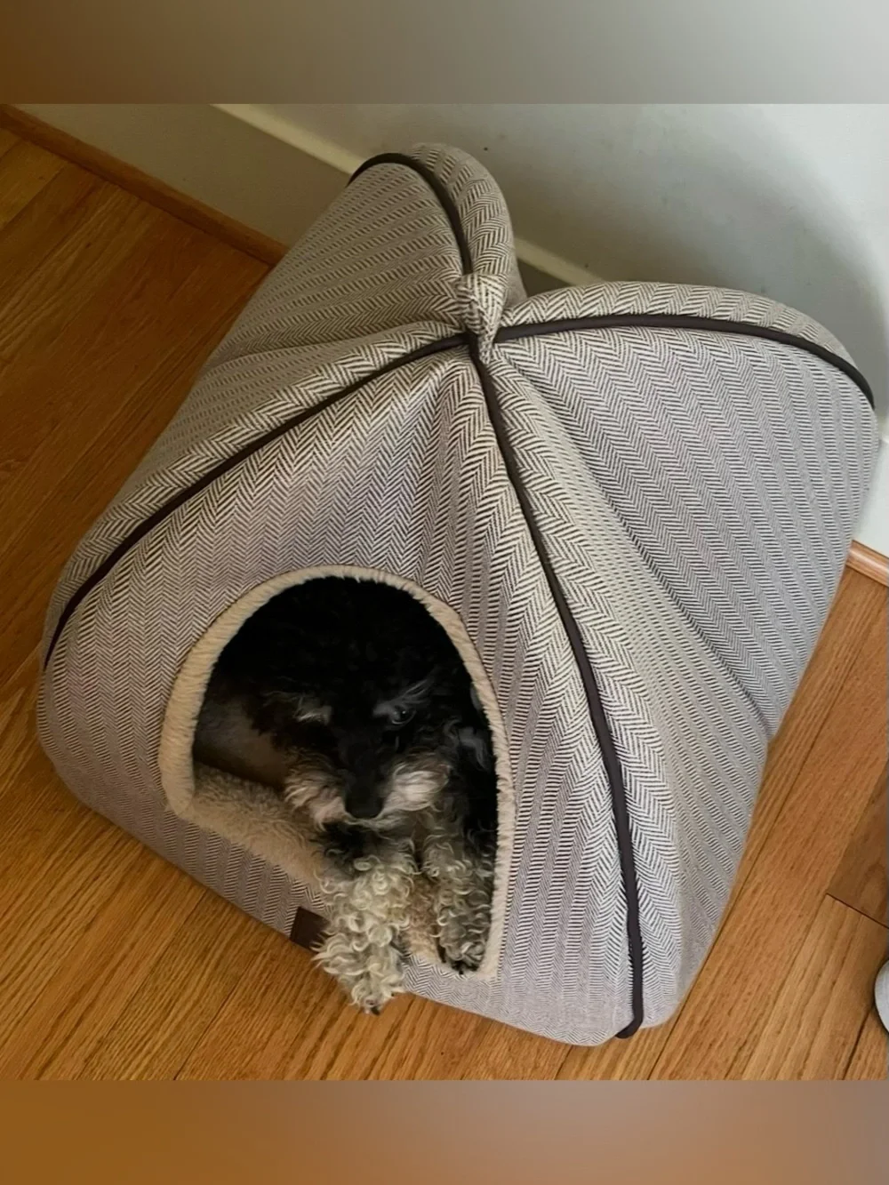 Plush Beige Indoor Small Pet Cozy Cave Bed